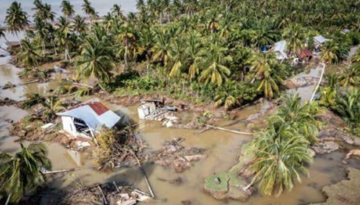 Lahan Sawah Aceh Terdampak Banjir 89.582 Ha, Kerugian Ditaksir Tembus Rp1 Triliun