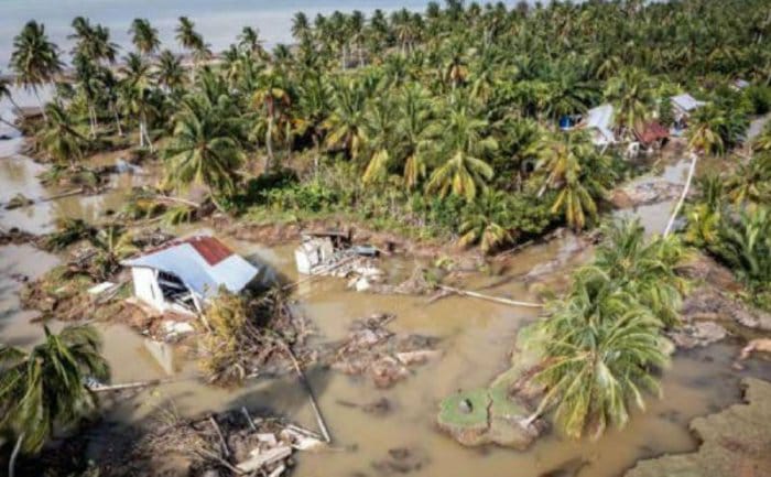 Lahan Sawah Aceh Terdampak Banjir 89.582 Ha, Kerugian Ditaksir Tembus Rp1 Triliun