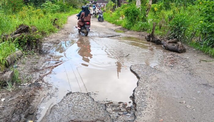 Ratusan KK Desa Rumbio Desak Bupati Dan DPRD Madina Rehab Jalan