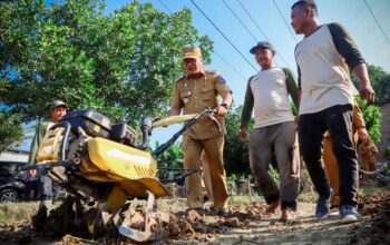 Bupati Deliserdang Dorong Pembangunan Greenhouse Demi Jaga Stabilitas Harga