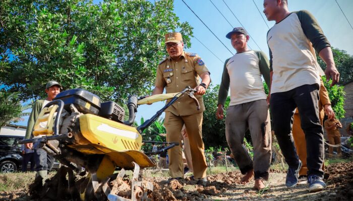 Bupati Deliserdang Dorong Pembangunan Greenhouse Demi Jaga Stabilitas Harga