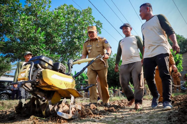 Bupati Deliserdang Dorong Pembangunan Greenhouse Demi Jaga Stabilitas Harga