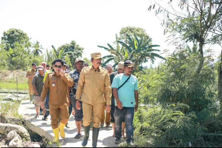 Pemkab Madina Normalisasi Aek Sibontar Untuk Selamatkan Sawah Warga