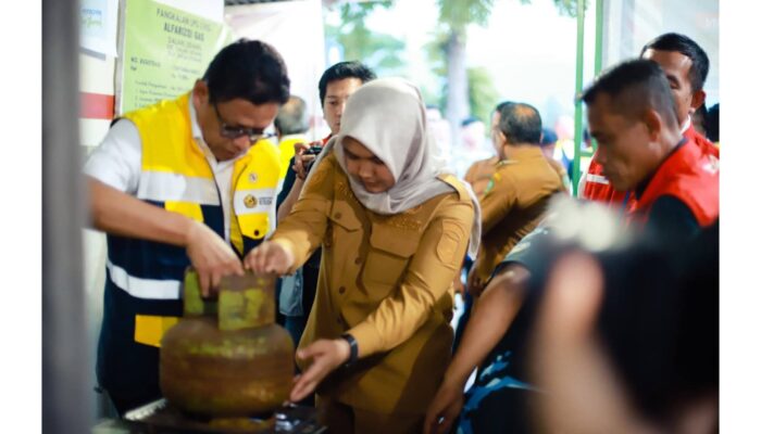 Jelang Nataru, Wamen ESDM Tinjau Kesiapan Energi Di Mandailing Natal