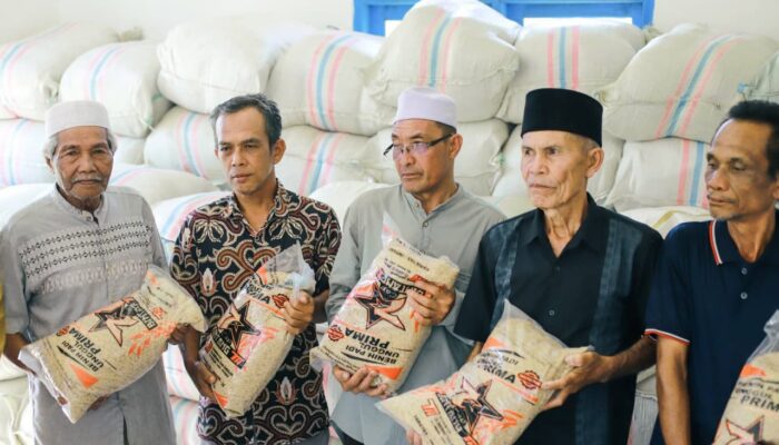 Pemkab Madina Salurkan 37 Ton Lebih Bantuan Bibit Padi Untuk Petani Siabu