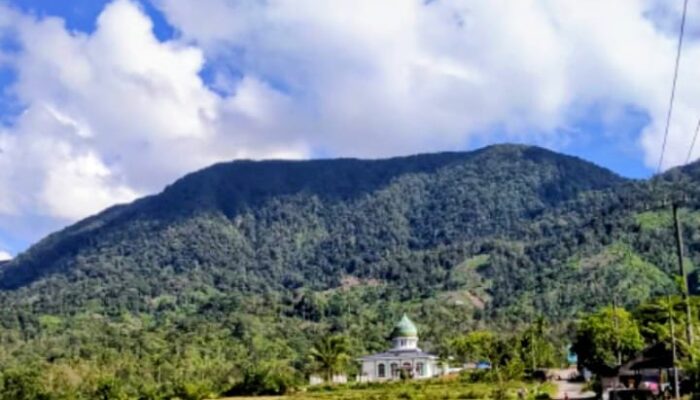 Iman Di Kaki Halimon