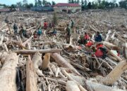 Kemenhut: Kayu Pascabanjir Dapat Dimanfaatkan Untuk Pemulihan Masyarakat