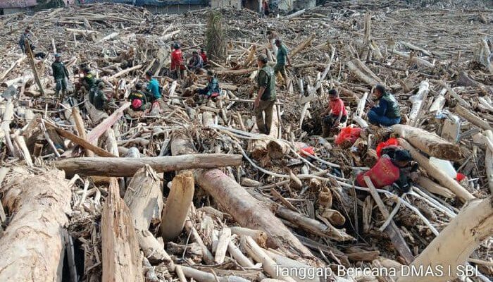 Kemenhut: Kayu Pascabanjir Dapat Dimanfaatkan Untuk Pemulihan Masyarakat
