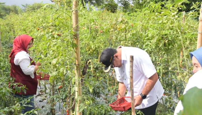 Pemkab Deliserdang Akan Selalu Hadir Di Sektor Pertanian, Asri Ludin Tambunan: Dari Hulu Sampai Ke Hilir Akan Kita Urus