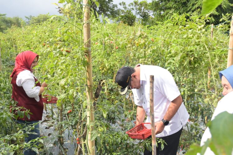 Pemkab Deliserdang Akan Selalu Hadir Di Sektor Pertanian, Asri Ludin Tambunan: Dari Hulu Sampai Ke Hilir Akan Kita Urus