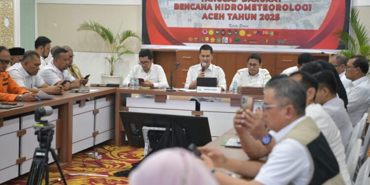 Risiko Penularan Penyakit Pascabencana, Pemerintah Aceh Perkuat Klaster Kesehatan