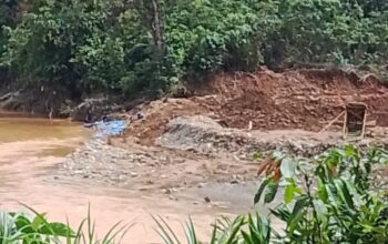 PETI di Desa Rantobi Tetap Beroperasi, Kapolsek Dan Camat Tak Bicara
