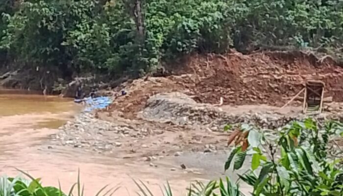 PETI di Desa Rantobi Tetap Beroperasi, Kapolsek Dan Camat Tak Bicara