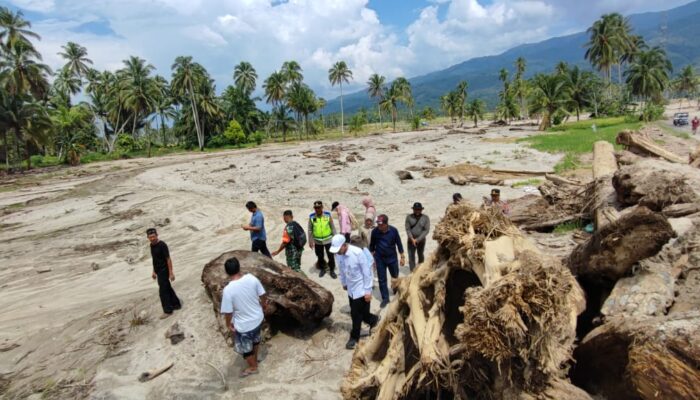 Gerak Cepat Kementan, Tinjau Dan Data 37 Ha Lahan Sawah Rusak Di Tolang Julu
