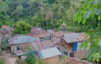 Dana Desa Sopo Batu TA 2024 Disorot LSM Tabagsel, Banyak Kegiatan Diduga Fiktif