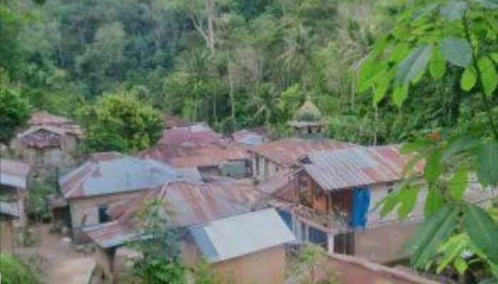 Dana Desa Sopo Batu TA 2024 Disorot LSM Tabagsel, Banyak Kegiatan Diduga Fiktif