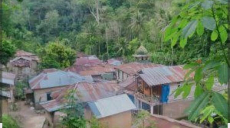 Dana Desa Sopo Batu TA 2024 Disorot LSM Tabagsel, Banyak Kegiatan Diduga Fiktif