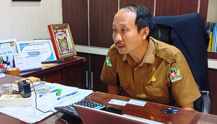 Dinkes Pidie Jamin Layanan Pascabanjir