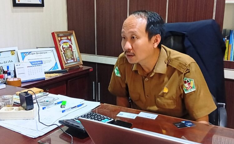 Dinkes Pidie Jamin Layanan Pascabanjir