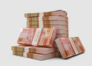 Pemerhati Anggaran Minta Inspektorat Audit Ulang DD Desa Sopo Batu TA 2024 Yang Terindikasi Fiktif