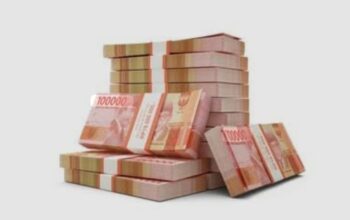 Pemerhati Anggaran Minta Inspektorat Audit Ulang DD Desa Sopo Batu TA 2024 Yang Terindikasi Fiktif