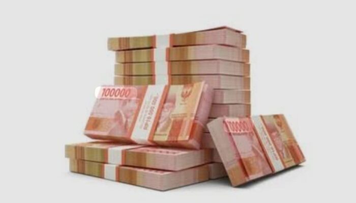 Pemerhati Anggaran Minta Inspektorat Audit Ulang DD Desa Sopo Batu TA 2024 Yang Terindikasi Fiktif