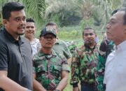 Pemprovsu Akan Ubah Lahan Sawit Jadi Huntap