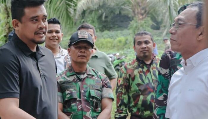 Pemprovsu Akan Ubah Lahan Sawit Jadi Huntap