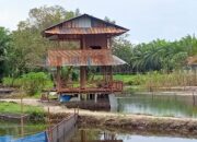 Pondok Telaga Waru Cocok Untuk Rekreasi Dan Hobi Mancing