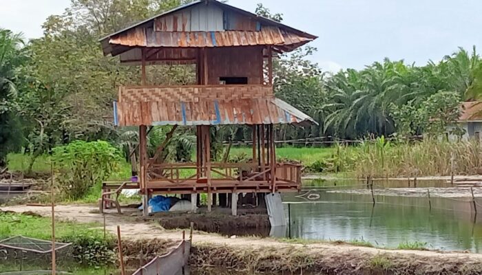 Pondok Telaga Waru Cocok Untuk Rekreasi Dan Hobi Mancing