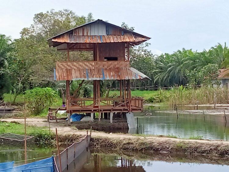 Pondok Telaga Waru Cocok Untuk Rekreasi Dan Hobi Mancing
