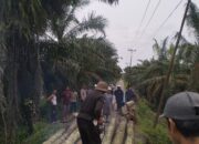 Jembatan Penghubung Pangkalansusu-Besitang Kritis Ekses Terjangan Banjir