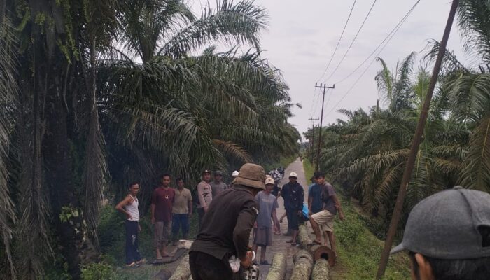 Jembatan Penghubung Pangkalansusu-Besitang Kritis Ekses Terjangan Banjir