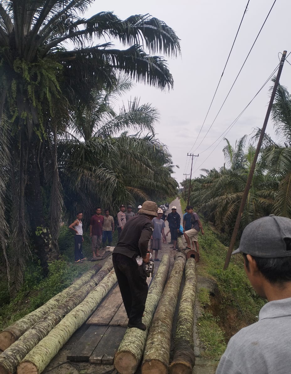 Jembatan Penghubung Pangkalansusu-Besitang Kritis Ekses Terjangan Banjir
