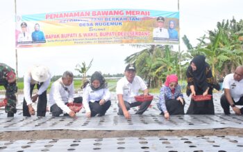 Pemkab Deliserdang Tetap Dukung Penuh Sektor Pertanian Di Pantai Labu
