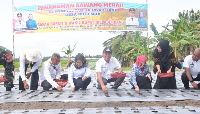 Pemkab Deliserdang Tetap Dukung Penuh Sektor Pertanian Di Pantai Labu