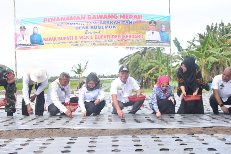 Pemkab Deliserdang Tetap Dukung Penuh Sektor Pertanian Di Pantai Labu