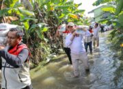 Ihwan Ritonga Apresiasi Ketangguhan Warga Sumut Bangkit Dari Bencana