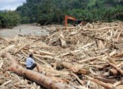 Buntut Banjir Bandang, Kemen LH Segel Sementara Kebun Sawit Dan Pabrik Di Tapteng
