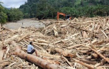 Buntut Banjir Bandang, Kemen LH Segel Sementara Kebun Sawit Dan Pabrik Di Tapteng