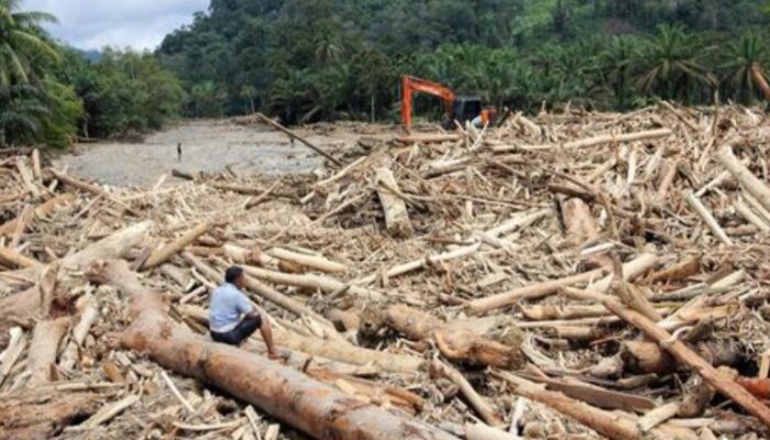 Buntut Banjir Bandang, Kemen LH Segel Sementara Kebun Sawit Dan Pabrik Di Tapteng