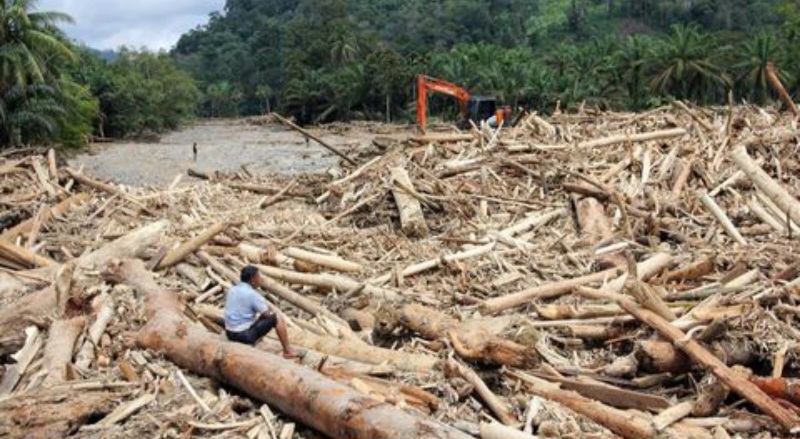 Buntut Banjir Bandang, Kemen LH Segel Sementara Kebun Sawit Dan Pabrik Di Tapteng