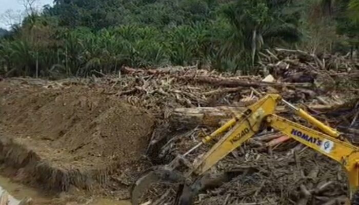 Fajri Akbar: Evakuasi Warga Desa Hutagodang Dan Dorong Penetapan Status Bencana Nasional