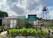 Polbangtan Medan Kembangkan Hidroponik Untuk Tingkatkan Kompetensi Mahasiswa