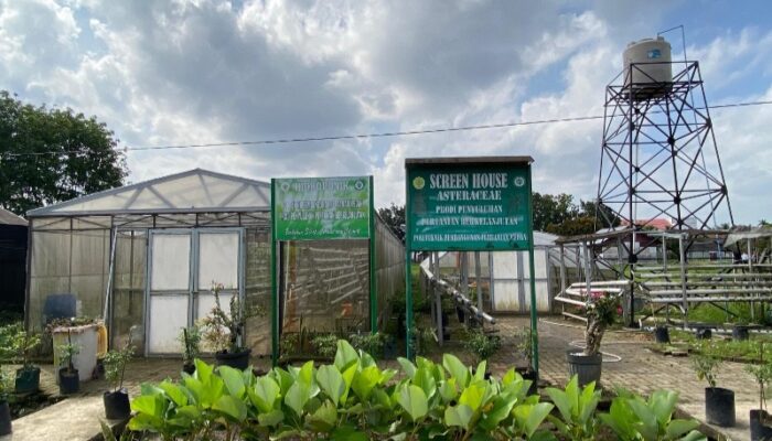 Polbangtan Medan Kembangkan Hidroponik Untuk Tingkatkan Kompetensi Mahasiswa