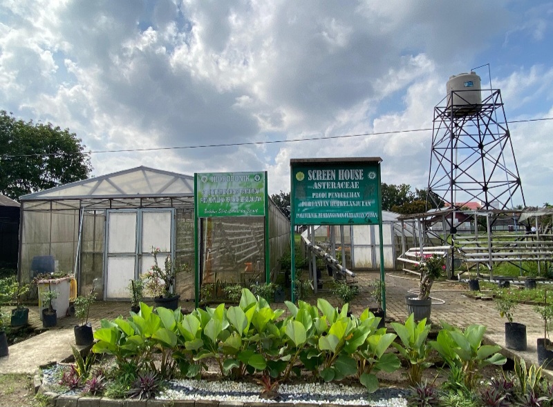 Polbangtan Medan Kembangkan Hidroponik Untuk Tingkatkan Kompetensi Mahasiswa