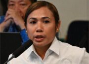 Anggota DPR RI Kritis Rencana Pengembangan Perkebunan Kelapa Sawit Di Papua