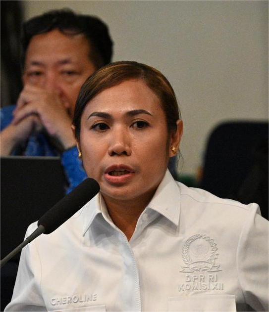 Anggota DPR RI Kritis Rencana Pengembangan Perkebunan Kelapa Sawit Di Papua