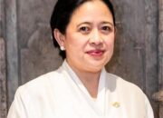 Di Momentum Hari Ibu, Puan Ajak Perempuan Jaga Keberlanjutan Lingkungan