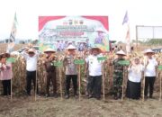 Bupati Dairi Pastikan Panen Jagung Selanjutnya Dibeli Perumda